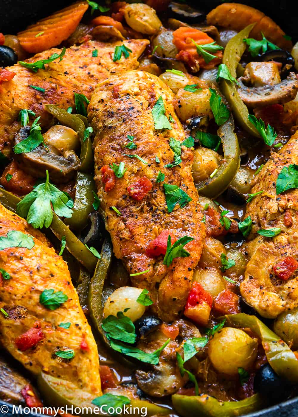 Easy Chicken Cacciatore and vegetables closeup