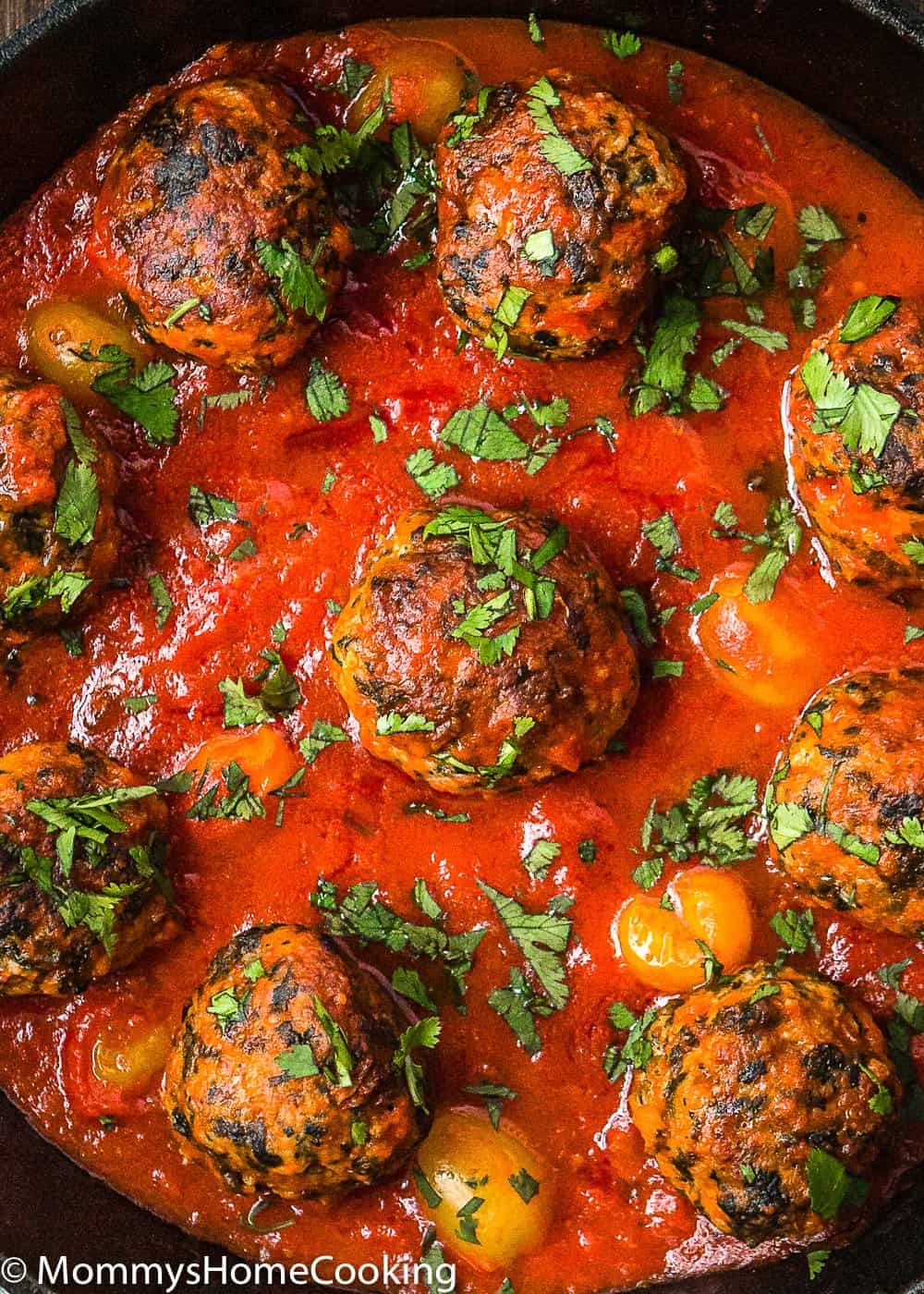 Eggless turkey meat balls in tomato sauce and herbs for garnish.