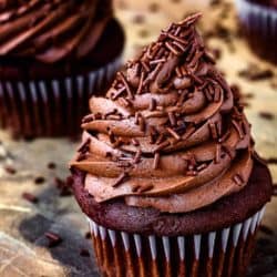 egg-free cupcake with chocolate frosting and chocolate jimmies.