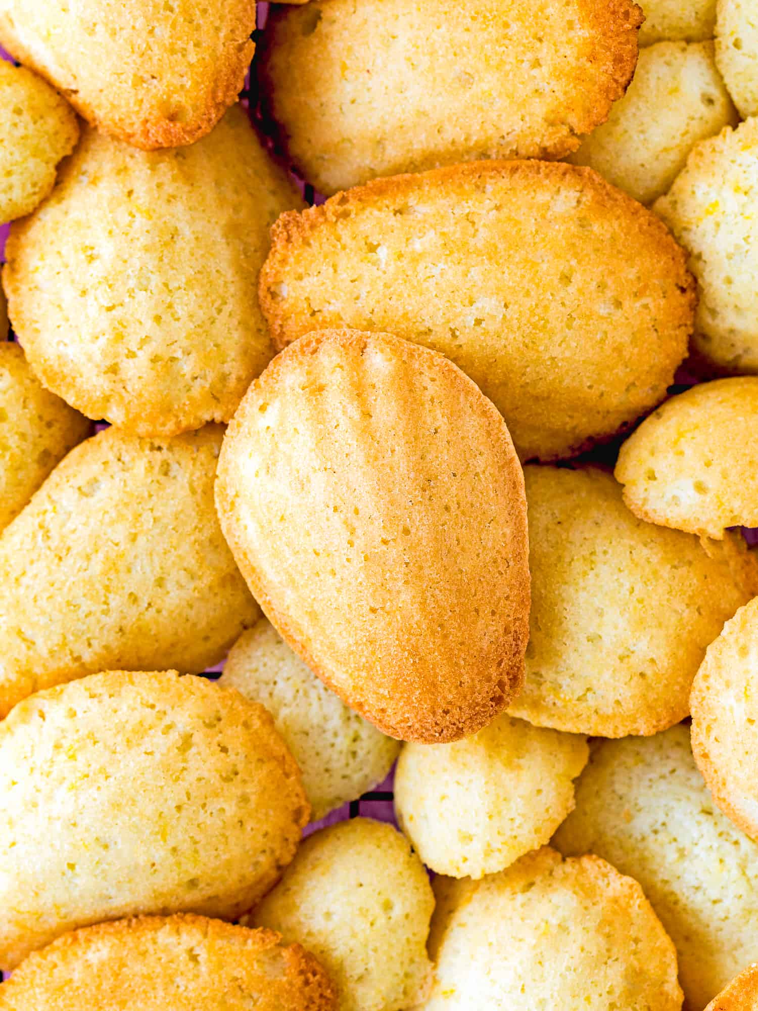 Eggless Madeleines 