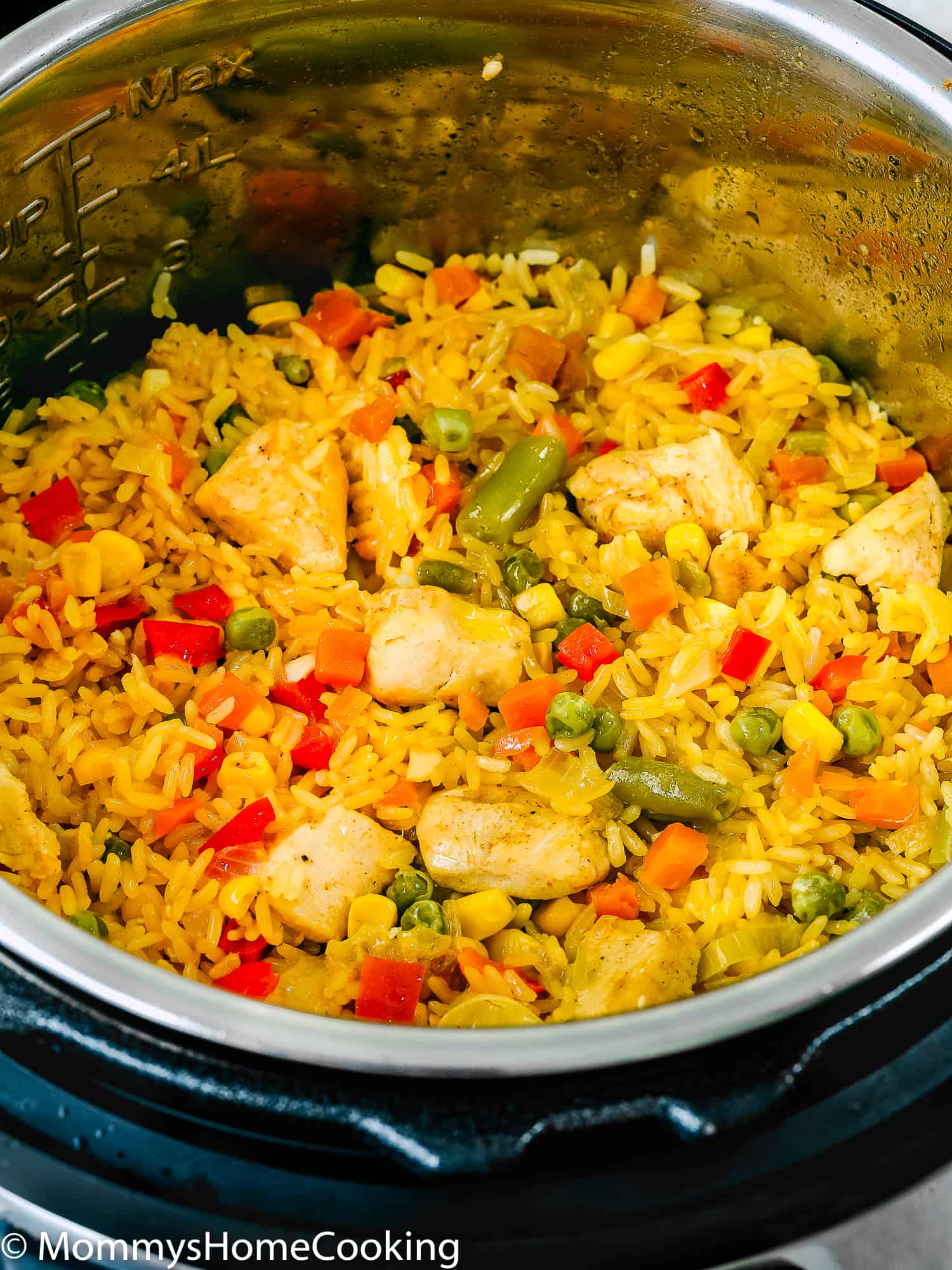 This Easy Instant Pot Arroz con Pollo recipe is ridiculously easy to make and unbelievably delicious! It has protein, vegetables, and grains cooked together in one pot in about 30 minutes. This one is definitely one to keep in your rotation. https://mommyshomecooking.com