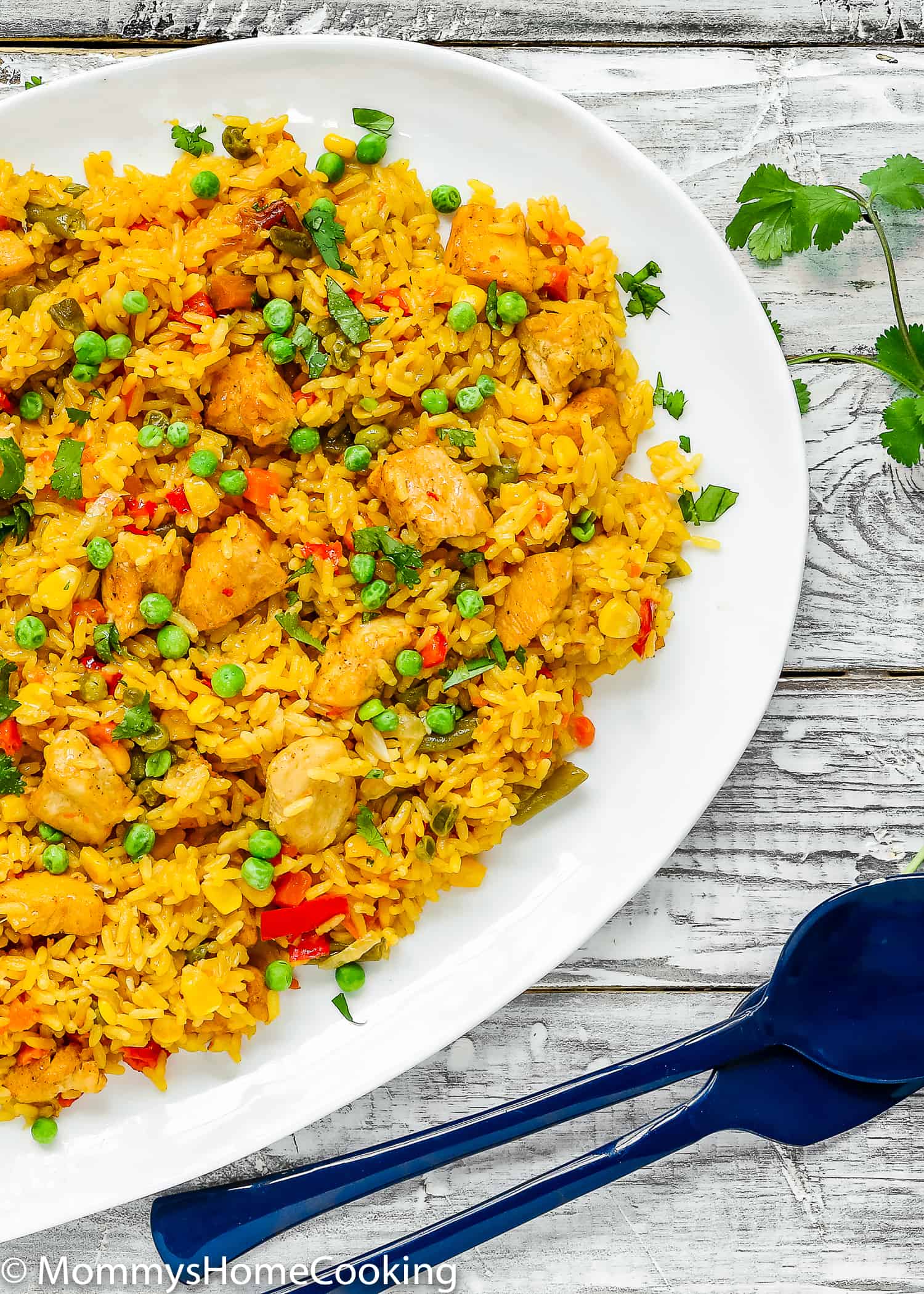 This Easy Instant Pot Arroz con Pollo recipe is ridiculously easy to make and unbelievably delicious! It has protein, vegetables, and grains cooked together in one pot in about 30 minutes. This one is definitely one to keep in your rotation. https://mommyshomecooking.com