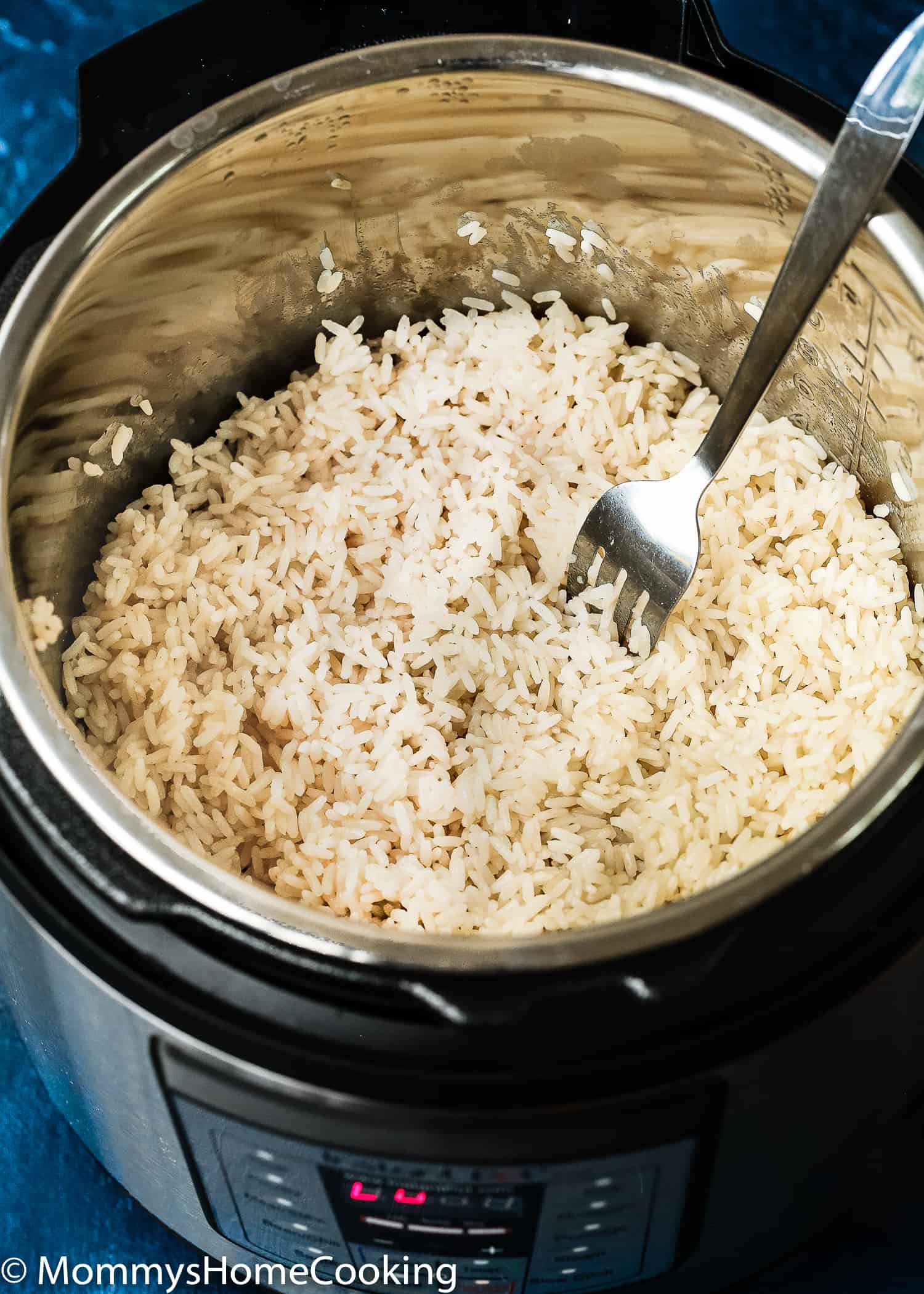 This Instant Pot Fluffy Rice is tender, light and flavorful every time! Keep reading to learn my fool-proof secret to cooking perfect rice in the Instant Pot. Ready in about 15 minutes. Guide to cook different kinds of rice in the Instant Pot is included.  https://mommyshomecooking.com