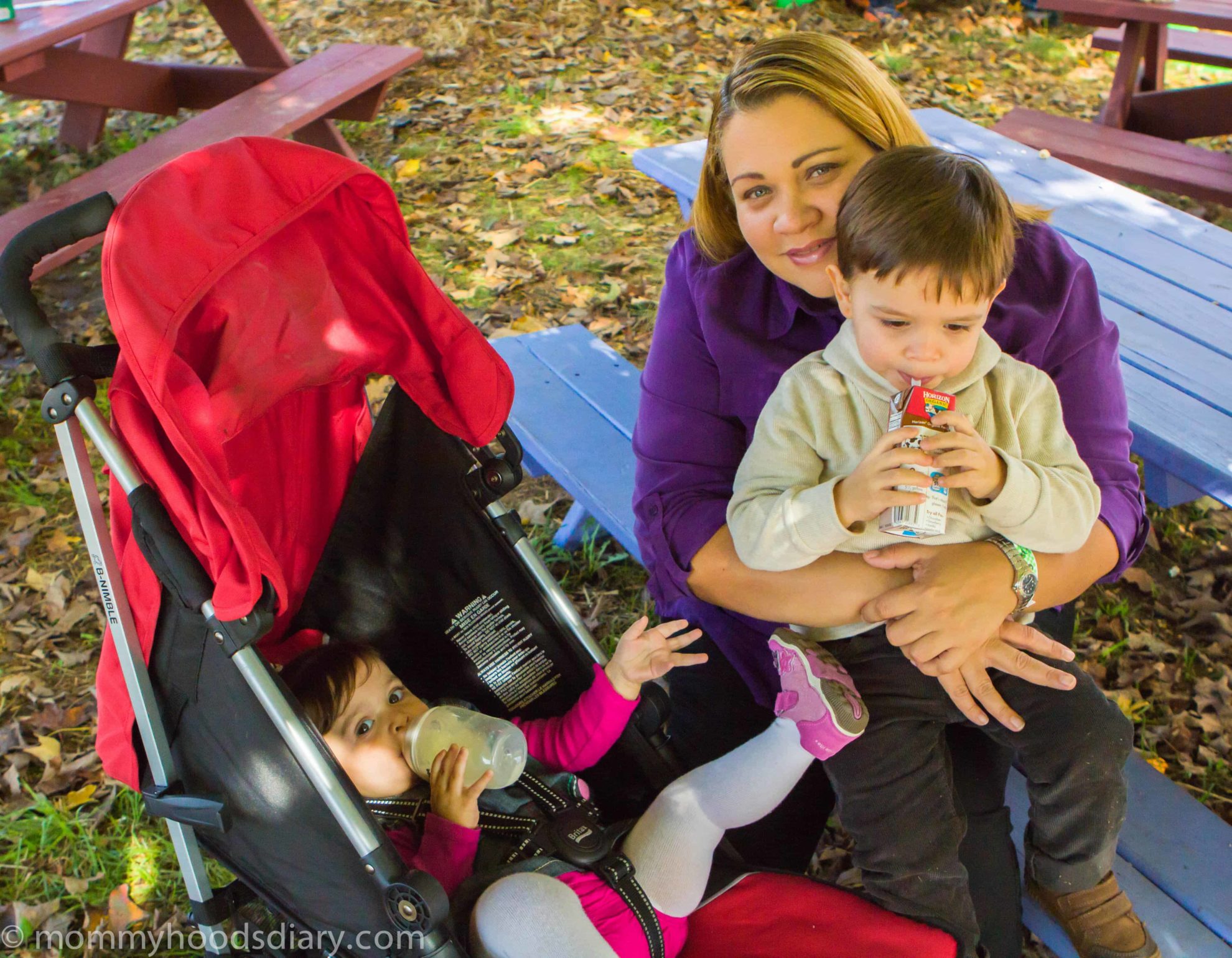 Pumpkin Picking mom with kids