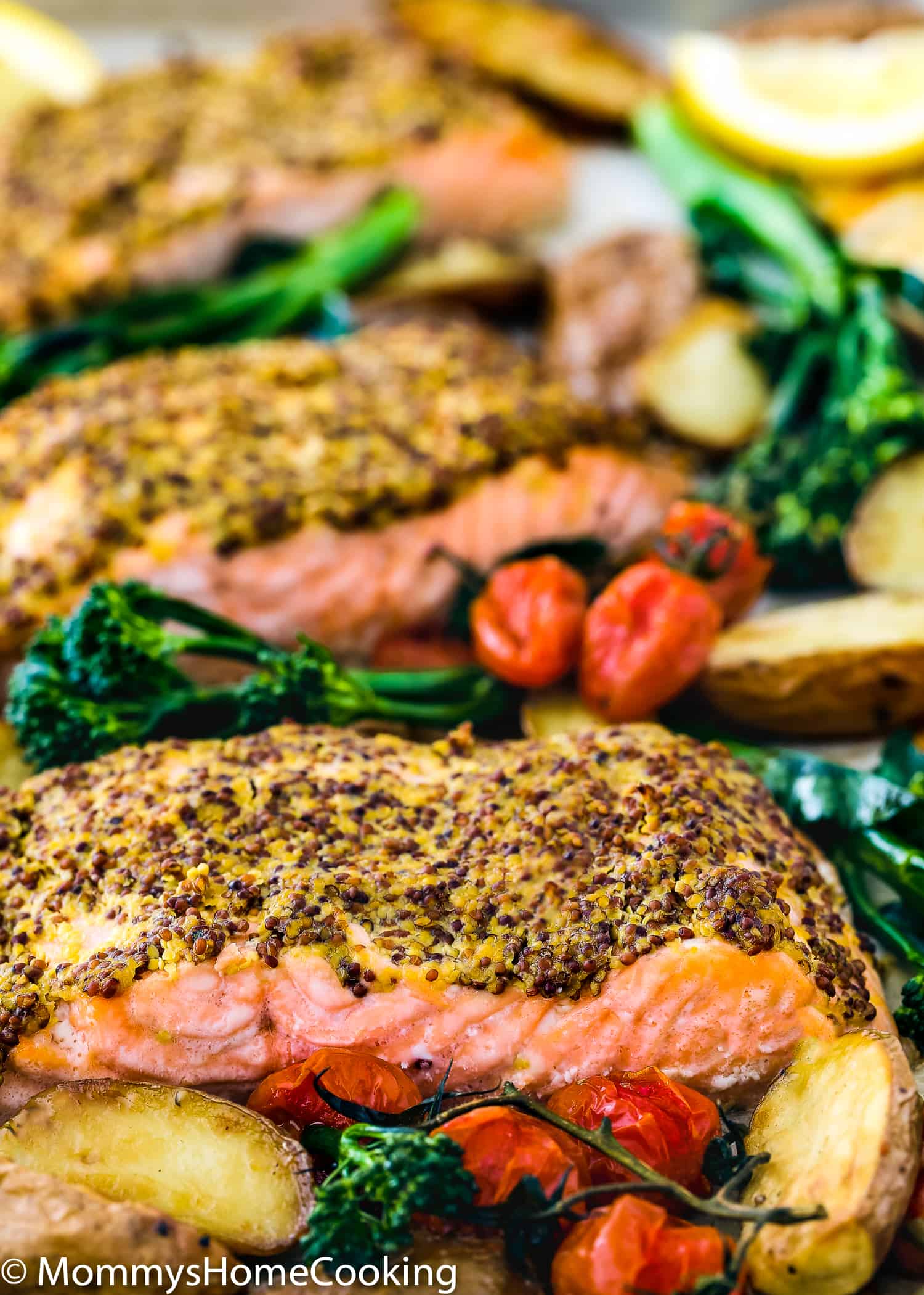 Sheet Pan with Salmon Filets, roasted potatoes, tomatoes.