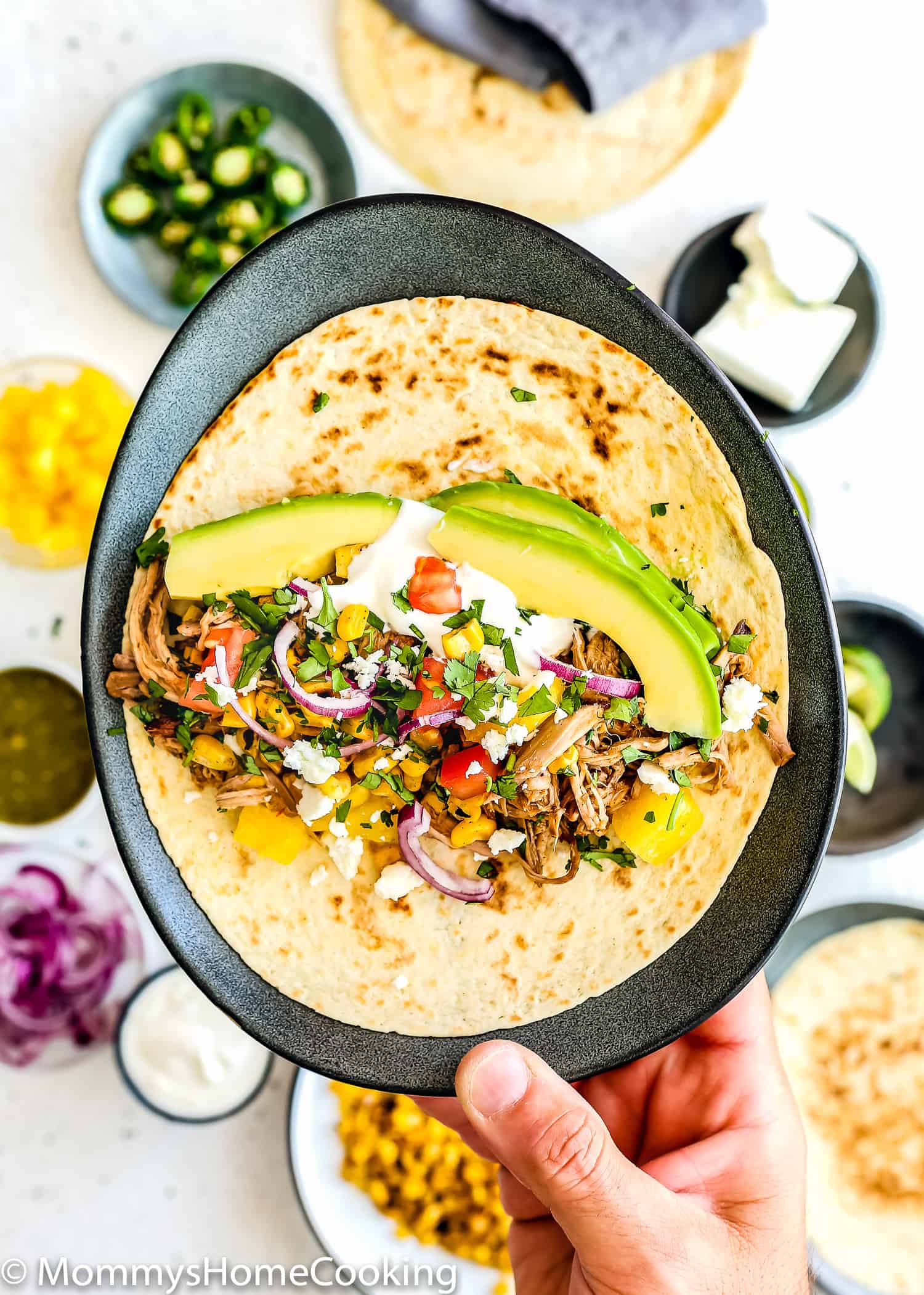 a hand holding a plate with a Chipotle Carnitas taco with toppings and avocado.